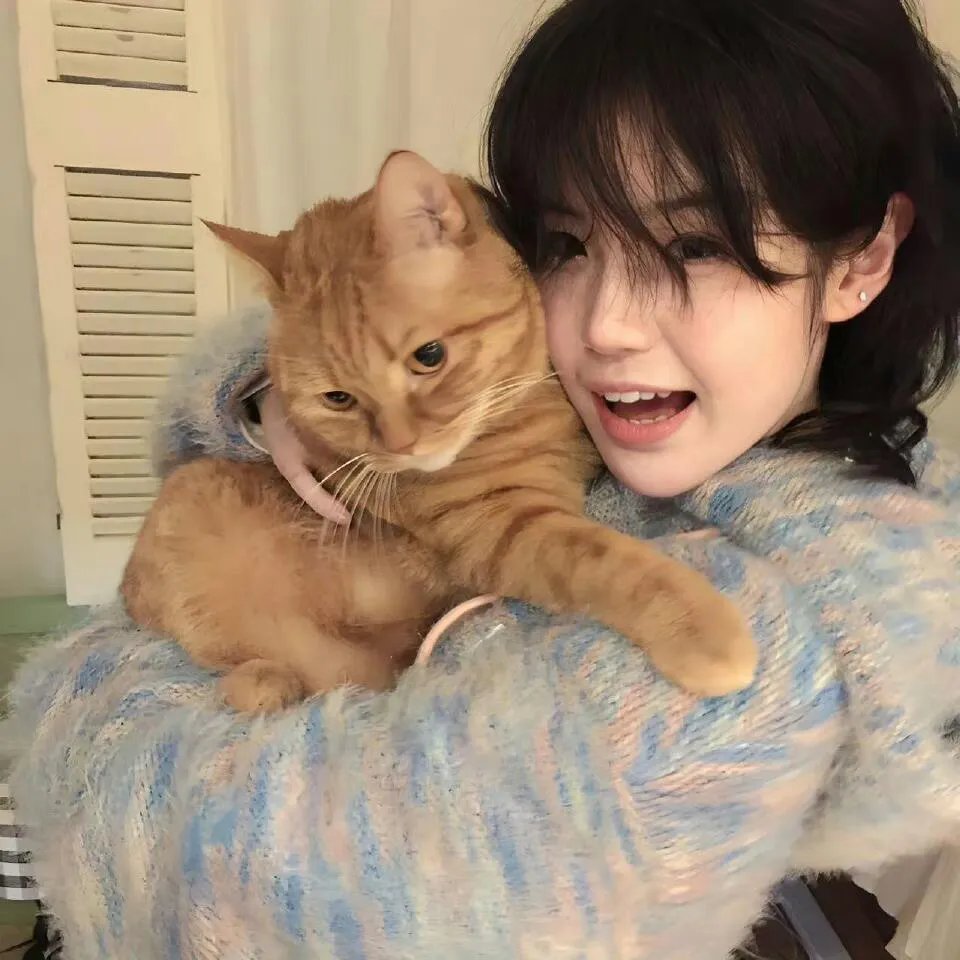 杀手老婆的保镳