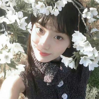 黑客军团第一季